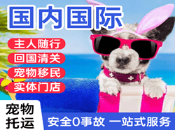 济宁大安航空货运国际宠物托运 【国